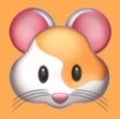 WWW,573av·COM网站APPAPP应用