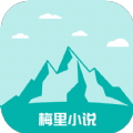 欧洲Yeezy350APP应用