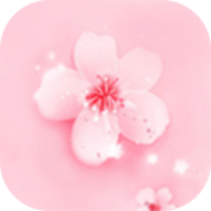 抖音9.1APP应用