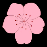 WWW,av860·COM网站APPAPP应用